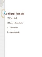 2.2. Chế độ pháp lý về doanh nghiệp