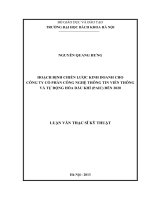 HOẠCH ĐỊNH CHIẾN LƯỢC KINH DOANH CHO CÔNG TY CỔ PHẦN CÔNG NGHỆ THÔNG TIN VIỄN THÔNG VÀ TỰ ĐỘNG HÓA DẦU KHÍ (PAIC) ĐẾN 2020