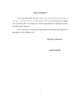 Hoàn thiện công tác thẩm định giá bất động sản tại công ty cổ phần đầu tư và thẩm định giá PIV 