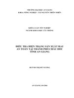 ĐIỀU TRA HIỆN TRẠNG SẢN XUẤT RAU AN TOÀN TẠI THÀNH PHỐ CHÂU ĐỐC TỈNH AN GIANG