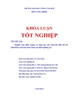 Nghiên cứu hiện trạng và chọn lọc cây trội loài bời lời đỏ (machilus odoratissima nees) tại tỉnh quảng trị 