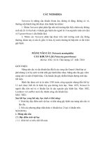 CÁC NEISSERIA-MÀNG NÃO CẦU (Neisseria meningitidis)CẦU KHUẨN LẬU(Neisseria gonorrhoeae)