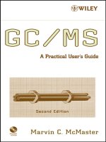 GC MS  a practical user  039 s guide  second edition