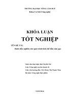 Bước đầu nghiên cứu quá trình tinh chế dầu cám gạo 