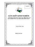 SKKN giup hoc sinh lop 1 thao tac tren mau vat tu lam de nang cao chat luong mon toan 