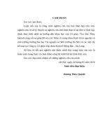 Kế toán doanh thu, chi phí và xác định kết quả kinh doanh tại Công ty Cổ phần Tập đoàn Kinh tế Đông Bắc  Hạ Long