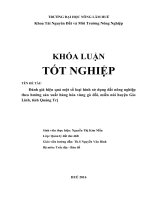 Đánh giá hiệu quả một số loại hình sử dụng đất nông nghiệp theo hướng sản xuất hàng hóa vùng gò đồi, miền núi huyện gio linh, tỉnh quảng trị 