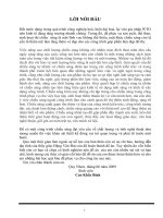 Đồ án Thiết kế chiếu sáng đường phố