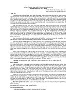 RỪNG TRỒNG SẢN XUẤT TRONG CHUỖI GIÁ TRỊ NGÀNH HÀNG GỖ VIỆT NAM