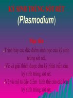 KÝ SINH TRÙNG SỐT RÉT(Plasmodium)
