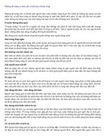 Những kỹ năng cơ bản cần có để sales thành công