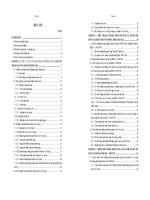 Thực trạng rủi ro tín dụng và các biện pháp phòng ngừa, hạn chế rủi ro tín dụng tại Sở giao dịch II – Ngân Hàng Công Thương Việt Nam