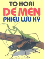 Dế mèn phiêu lưu ký