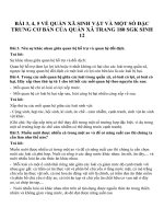 Bài tập SGK môn sinh học lớp 12 (14) 