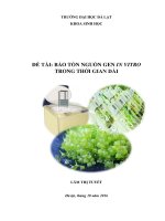đề tài bảo tồn nguồn gen in vitro trong thời gian dài