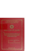 Chiến lược kinh doanh đa địa phương của các công ty đa quốc gia và bài học kinh nghiệm với doanh nghiệp việt nam 