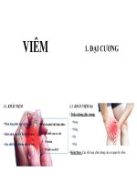 Bài giảng về viêm chiếu sline