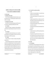 THỰC TRẠNG TÀI CHÍNH CÁC NGÂN HÀNG THƯƠNG MẠI CỔ PHẦN VIỆT NAM