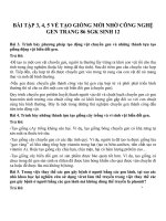 Bài tập SGK môn sinh học lớp 12 (11) 