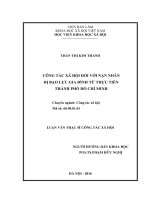 Công tác xã hội đối với nạn nhân bị bạo lực gia đình từ thực tiễn thành phố hồ chí minh