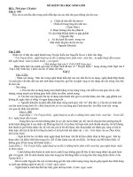 Tài liệu bồi dưỡng môn ngữ văn lớp 9 tham khảo (8) 