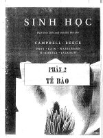 Sinh học phần 2 tế bào 