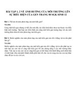 Bài tập SGK môn sinh học lớp 12 (17) 