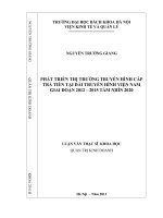 PHÁT TRIỂN THỊ TRƯỜNG TRUYỀN HÌNH CÁP TRẢ TIỀN TẠI ĐÀI TRUYỀN HÌNH VIỆN NAM GIAI ĐOẠN 2012 – 2015 TẦM NHÌN 2020