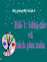 Bài giảng điện tử môn mĩ thuật lớp 4 bài 1