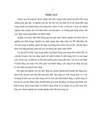 một số nhân tố tác động đến lòng trung thành của khách hàng mua theo nhóm trên internet 