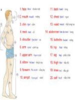 học tiếng anh qua hình ảnh 63