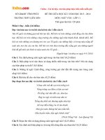 Đề thi giữa học kì 1 môn Ngữ văn lớp 11 trường THPT Liễn Sơn, Vĩnh Phúc năm học 2015 - 2016