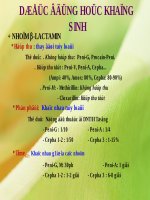 Bài Giảng Dược Động Học Kháng Sinh