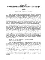 Chuyên Đề Pháp Luật Về Kinh Tế Và Luật Doanh Nghiệp