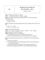 Đề kiểm tra giữa học kì i môn hóa học lớp 11