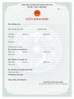 Giấy khai sinh (bản chính)