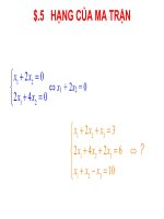 Hạng của ma trận và các cấu trúc nghiệm