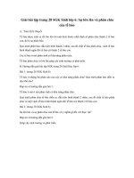 Giải bài tập trang 28 SGK Sinh lớp 6: Sự lớn lên và phân chia của tế bào