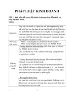 ĐỀ CƯƠNG PHÁP LUẬT KINH DOANH