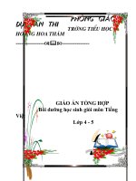 Tai lieu boi duong hoc sinh gioi mon Tieng Viet lop45