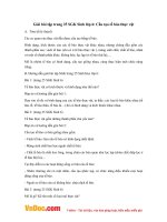 Giải bài tập trang 25 SGK Sinh lớp 6: Cấu tạo tế bào thực vật