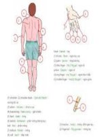 học tiếng anh qua hình ảnh 150