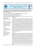 ĐÁNH GIÁ KHẢ NĂNG SỬ DỤNG RƠM VÀ LỤC BÌNH TRONG Ủ YẾM KHÍ BÁN LIÊN TỤC  ỨNG DỤNG TRÊN TÚI Ủ BIOGAS POLYETHYLENE VỚI QUY MÔ NÔNG HỘ