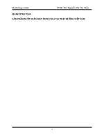 MARKETING PLAN SẢN PHẨM NƯỚC GIẢI KHÁT PEPSI-COLA TẠI THỊ TRƯỜNG VIỆT NAM