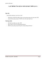 Hướng dẫn lập trình UDP socket giao tiếp client server