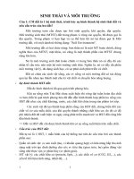 ĐỀ CƯƠNG SINH THÁI VÀ MÔI TRƯỜNG