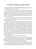 ĐỀ CƯƠNG TỔ CHỨC CÔNG TÁC KẾ TOÁN