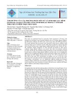 ẢNH HƯỞNG CỦA CÁC PHƯƠNG PHÁP TIỀN XỬ LÝ SINH HỌC LỤC BÌNH (Eichhornia crassipes) LÊN KHẢ NĂNG SINH BIOGAS TRONG Ủ YẾM KHÍ THEO MẺ CÓ PHỐI TRỘN PHÂN HEO