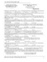 đề thi vật lý khối THCS11