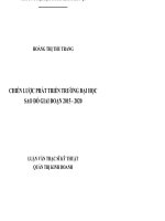 Chiến lược phát triển trường đại học sao đỏ giai đoạn 2015 2020  